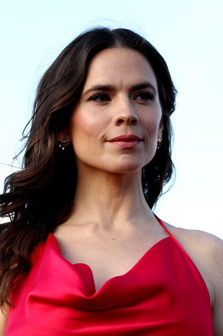 Hayley Atwell Red Dress Cum Target Hoastie Adult Gallery Host